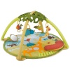 Skip Hop Giraffe Safari Activity Gym Toy