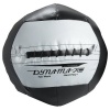 Dynamax Medicine Balls