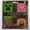 (4x5) Minecraft Pin Pack