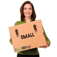 EcoBox 16.5 x 12.675 x 12.675 Inches, Genuine Small Moving Boxes, Pack of 15 (V-6823)