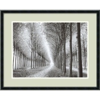 Tree Parade (c. 2003) by Chip Forelli, Framed Print Art - 16.95 x 21.02