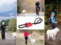 Buddy - Hands free dog leash connector - biking, jogging, hiking, walking