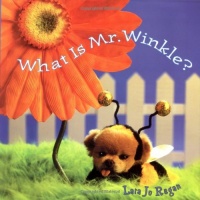 What Is Mr. Winkle? (Step Back in Time with Mr. Winkle)