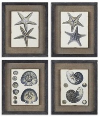 Uttermost Coastal Blue I, II, III, IV, Wall Art - Set of 4