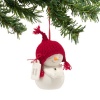 Department 56 Snowpinions Daily Dose Ornament, 2.25-Inch