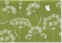 Queen Anne's Lace Note Cards (Stationery) (Note Card Series)