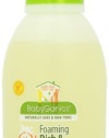 BabyGanics Dish Dazzler Foaming Dish & Bottle Soap, Citrus, 18.6-Fluid Ounce Bottles (Pack of 2)