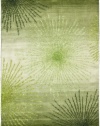 Safavieh Soho Collection Explosions Handmade New Zealand Wool Area Rug, 5-Feet by 8-Feet, Green