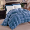 Natural Comfort Allergy-Shield s TM Luxurious King Down Alternative Comforter, Blue