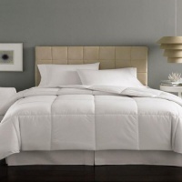 Home Design Mini Stripe 230T Down Alternative Twin Comforter