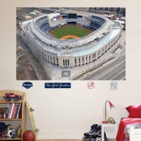 MLB New York Yankees Yankee Stadium Aerial Mural Wall Graphic