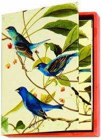 Metropolitan Museum of Art Boxed Note Cards, Audubon Birds (MN211)