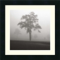 Fog Tree Study I Framed Wall Art by Jamie Cook - 16W x 16H in.