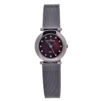 Skagen Women's 107SDDD Quartz Stainless Steel Brown Mother Of Pearl Dial Watch