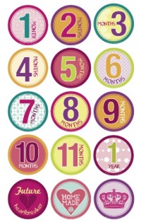 Belly Banter GIRL Onesie Stickers Includes 12 month stickers plus 3 BONUS statement stickers