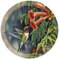 Set of 4 Sandstone Coasters - Hummingbird and Trumpet Vine