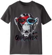 Quiksilver Boys 8-20 Monkey Biz, Metal, Medium/12