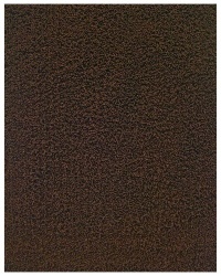 Donny Osmond Home Silky Shag Rug, Coffee Bean, 4x6 Feet