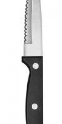 Ginsu Essentials Series Japanese 420J2 Stainless Steel 3.5-Inch Paring Knife 5102