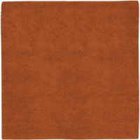 Area Rug 8x8 Square Shag Rust Color - Surya Aros Rug from RugPal