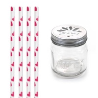 Dress My Cupcake DMC31362 Vintage Glass Drinking Mason Jar Sippers with Flower Lid and Paper Straws Party Kit, Valentines Red Heart, Set of 12