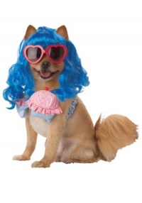 Pup-A-Razzi Cupcake Girl Girl Dog Costume, Large, Blue/Pink