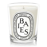 Diptyque - Baies Candle