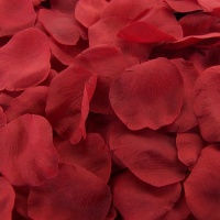 Red Silk Rose Petals ~ 200 Petals