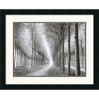 Tree Parade (c. 2003) by Chip Forelli Framed Fine Art Print - 18 x 22