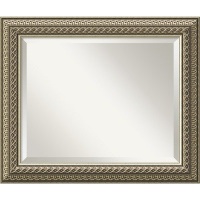 Paramount Medium Mirror in Silver Diamond