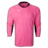 Puma Youth Goalie Jersey