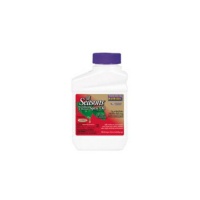 All Seasons 210 Horticultural Spray Oil Concentrate  - 16 oz