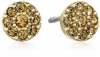 Fossil Disc Gold Stud Earrings