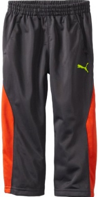 Puma - Kids Boys 2-7 Toddler Srong Pant, Grey, 4T